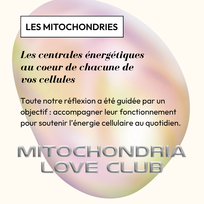 RECODE+ — visuel 3
