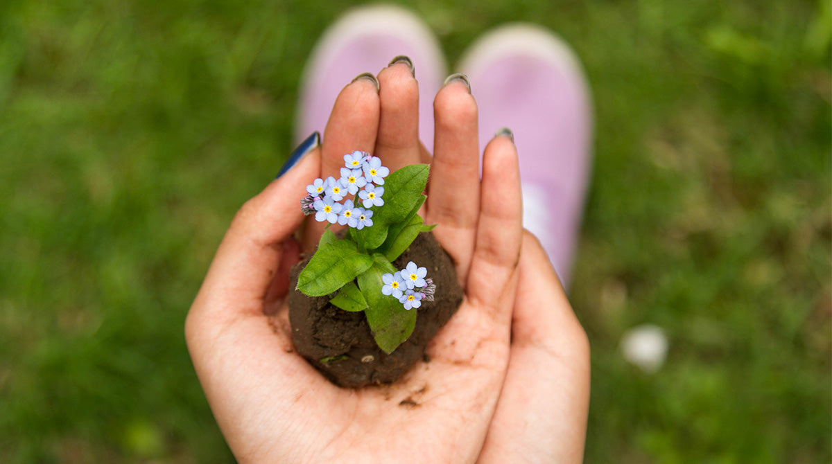 a quoi servent nos hormones